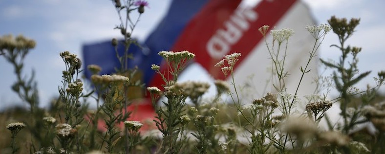 MH17-wreckage-field-reuters-210714