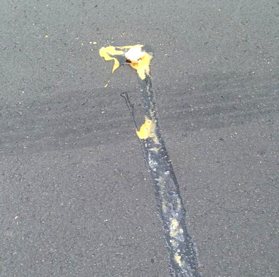 egg