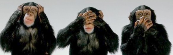 monkey-see