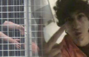 Twinning: the Cases of Martin Bryant and Jahar Tsarnaev