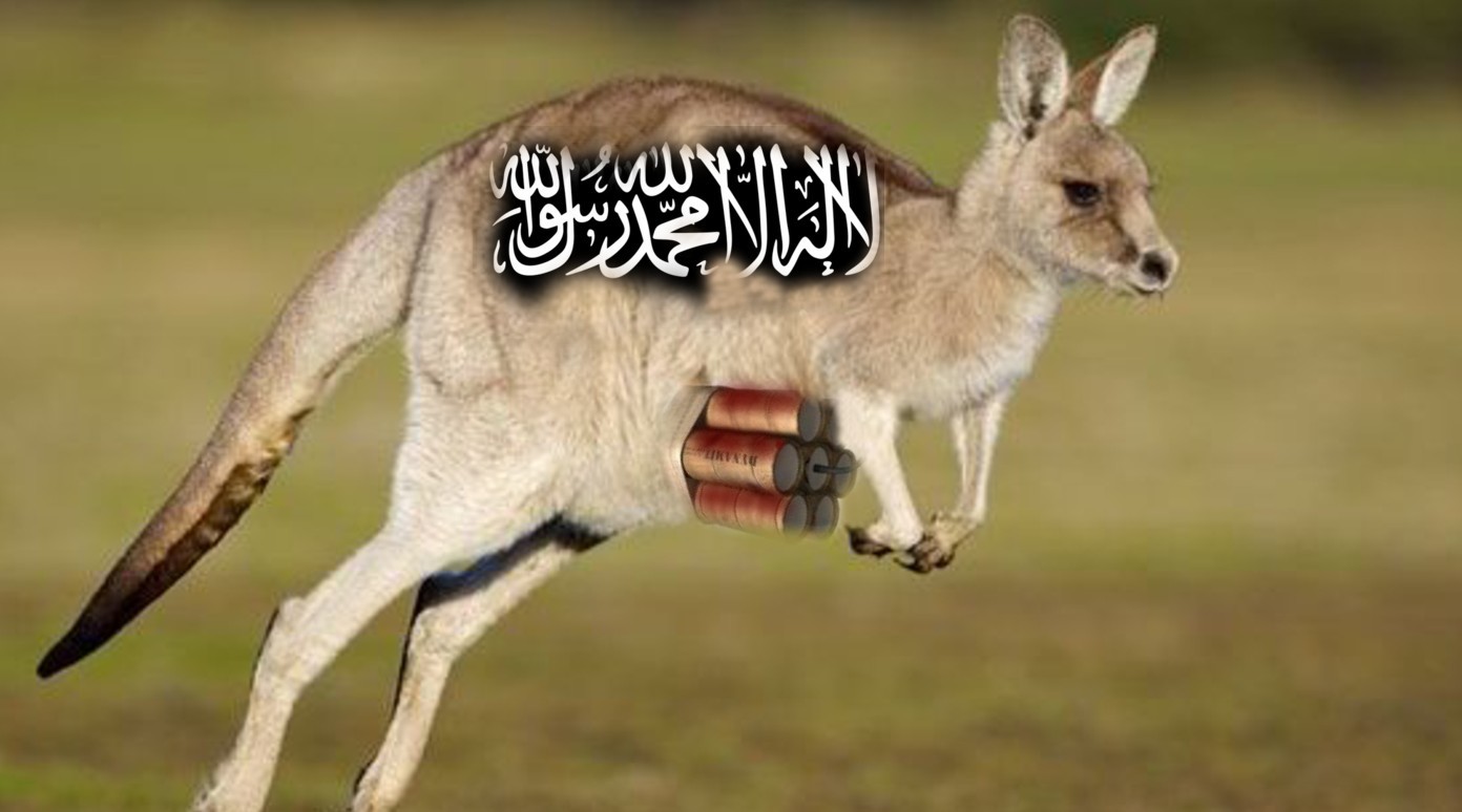 bomb kangaroo 2