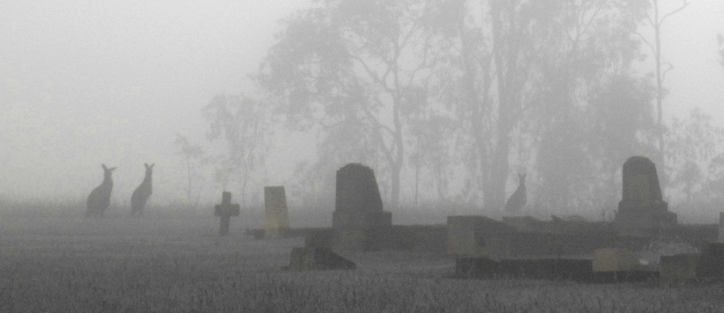 kangaroos cemetry (1)
