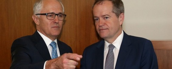 turnbull and shorten1