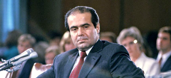 scalia