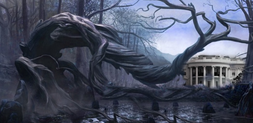 swamp
