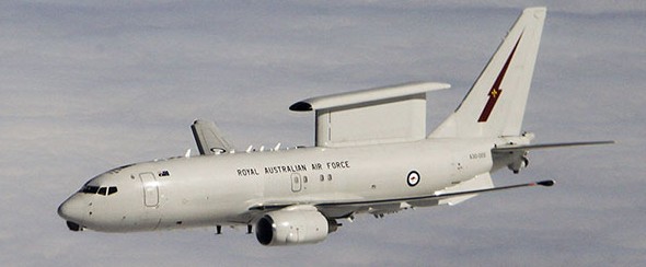 wedgetail_flying_web