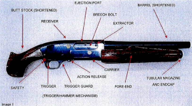 monis-gun