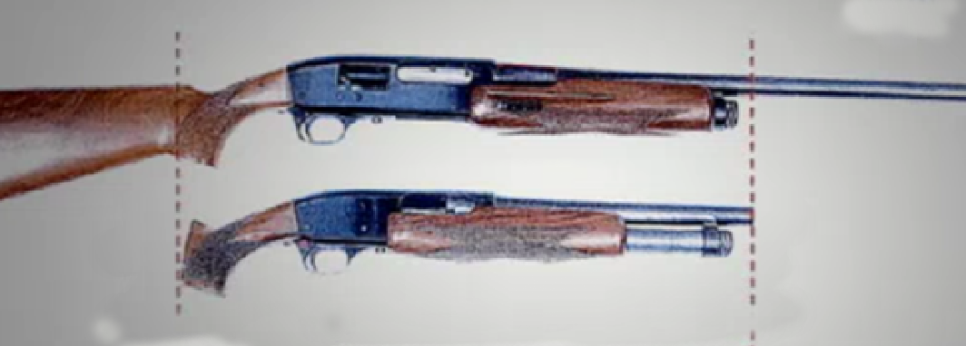 monis-gun2