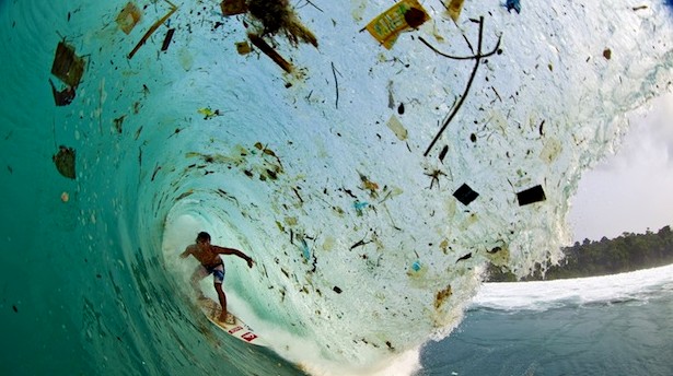 trash-surfer_dede_zak