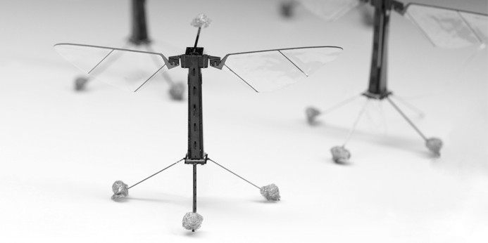 robot-bee