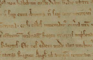 Further to the Elements of English Law, with a Section on the Crime of Treason