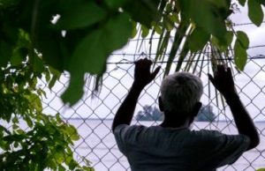 Manus Island Settlement is Not the End of the Story