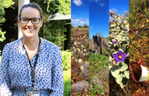 Crossing the Nullarbor, Perth to Adelaide
