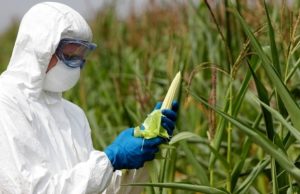 Humanity In Crisis, Part 3: The Food Controllers
