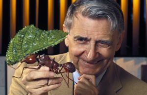 EO Wilson, the Intellectual Giant from Birmingham, Turns 88