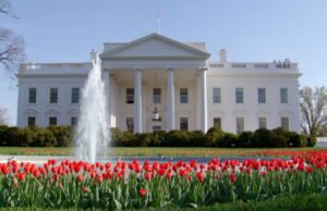 Open Letter to President Trump Concerning Jahar