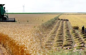 UN Security Council Imposes Sanctions on a Helpless Population – with Nod from Russia and China!