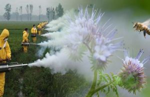 Agriculture and the Production of Fictitious Foods