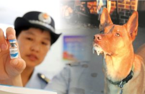 Will China Be The Only Country With a Vaccine Scandal?