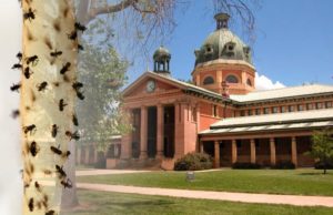 Fiona Barnett, Part 1: Flypaper Prosecutions