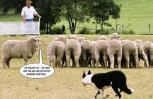 MSM’s Fake War, Part 3: “Corralled” Journos and “Hunting Packs” at Port Arthur