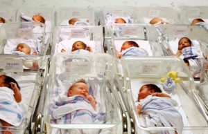 Here Comes the Avalanche, Part 4: Cathi Morgan’s Research