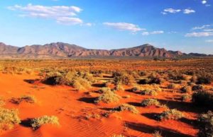 Adelaide Mysteries, Part 1: Rachel Vaughn Interprets “Zombie Apocalypse”