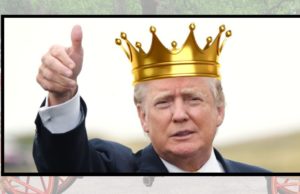 Were Graham and Kav Up to Something? Constitutional Limits on Executive Power