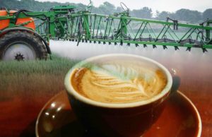 Ordering a Skinny, Low-GI, Organic, Decaf, Soy Macchiato in a Degraded Civilisation