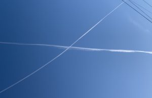 Thank You, Scomo and Steve, and I Hope You Know the System Is Meant to Stymie