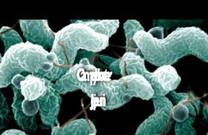 Silent Epidemic: The Untold Story of Vaccines