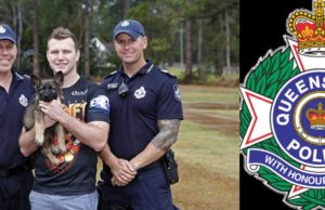 Questions to the Ministers of Child Protection in All States and Territories