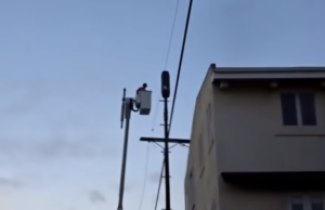 Rolling Out 5G: Devastating Impacts on Humanity and the Environment