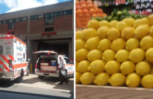 Latest News on Jahar (NOT)