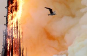 The Notre Dame Fire — Part of a Trend?