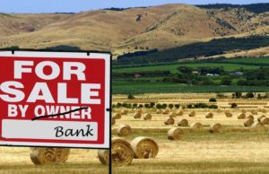 Is an Australian Reconstruction and Development Bank Our Only Hope of Survival?