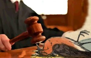 A Cock-Robin Approach to Judicial Kidnap – A Call For Your Ideas