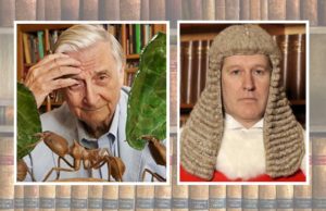 What Did I Tell You? Law Has Triumphed in a 2019 Family Law Case in the UK