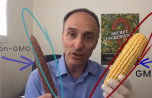 Sydney Workers and Animals Avoid Monsanto