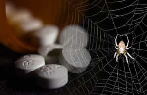The Pedophile Racket, Part 1: Players and Patterns