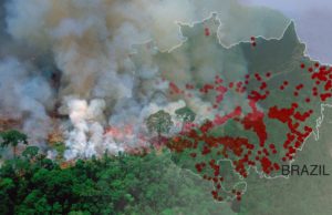 Humanity In Crisis, Part 10: The ‘Burning’ of the Amazon