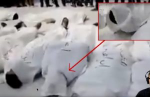 The MSM Can Raise the Dead, and Other Contrivances