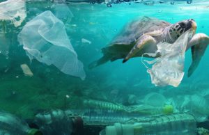 Oceanic Pollution and Sober Truth About Climate Change