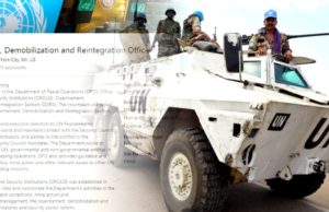 Required — Disarmament, Demobilization and Reintegration Officer/s