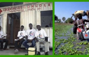 F-Bombs Away! Poor Bill Gates Is Taking It Hard from Africa. Thank you, Africa!