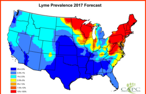 COVID-19, Fiona Barnett, Lyme Disease, John Curnow, Willy Burgdorf, and Kris Newby