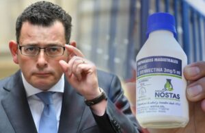 Ivermectin, Professor Borody, the 94-year-old Woman, and the Federal Government