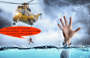 Life Saving Medical Options Denied (to Elderly) — Who is Culpable for Covid Deaths?