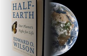 The Destruction of Species and a Word from Amos