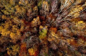 Humanity in Crisis, Part 11: No One Can Predict The Harm It Might Cause (FiveGee)